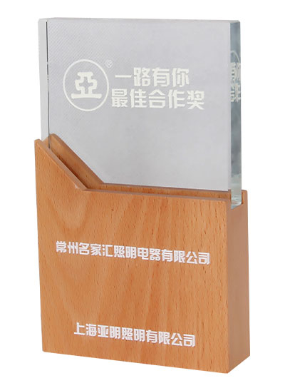 上海亞明2020年度最佳合作獎