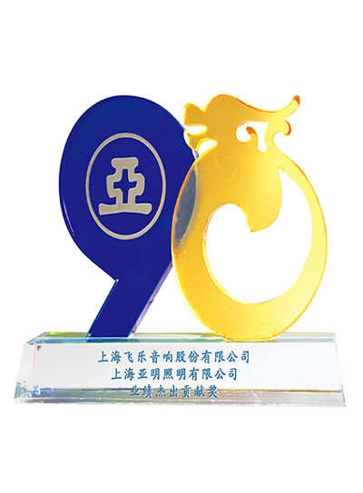 上海亞明業(yè)績杰出貢獻獎