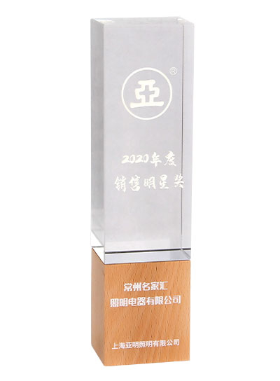 上海亞明2020年度銷售明星獎