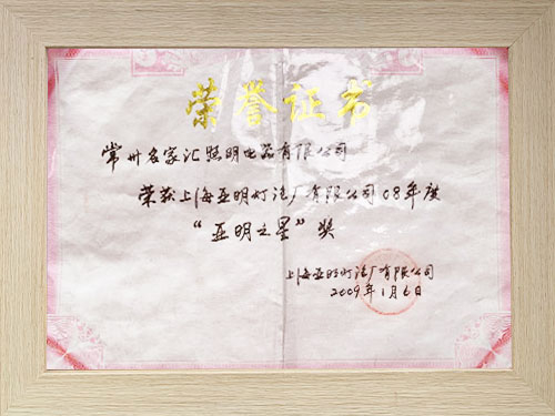 榮獲上海亞明“亞明之星”獎