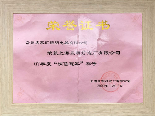 榮獲上海亞明“銷售冠軍”
