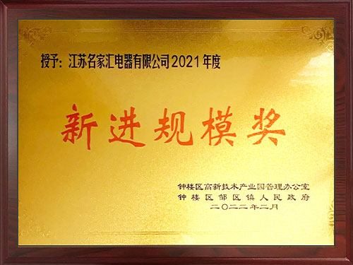 2021年度新進規(guī)模獎