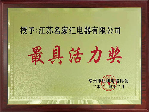 最具活力獎
